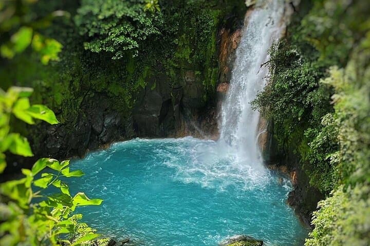 Rio Celeste Waterfall & Sloth Sanctuary — Private Tenorio National Park Day Tour