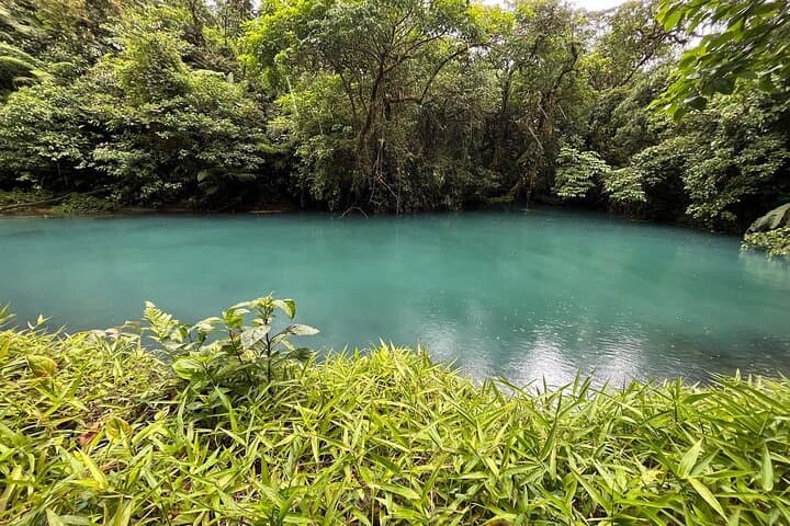 Rio Celeste Waterfall & Sloth Sanctuary — Private Tenorio National Park Day Tour photo 6