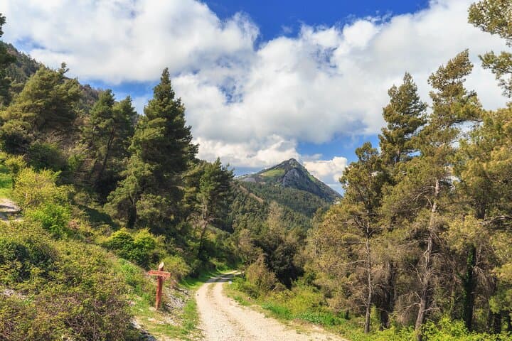 Sicani Mountains Trek from Palermo: Pizzo della Rondine, Hermitage & Local Lunch photo 5