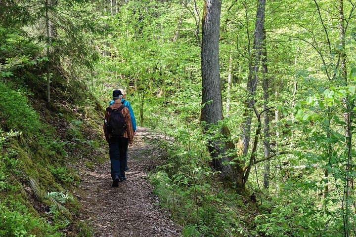 Full-Day Sigulda Hike: Gauja National Park, Castle Ruins & Sandstone Caves photo 1