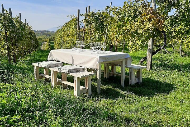 Private Prosecco Road Tour from Conegliano — 3 Wineries, Lunch & Cellar Visits photo 4