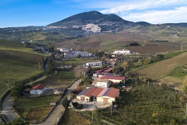 Cheese and Wine Routes of Cammarata: Private Culinary Tour in Sicily photo 4