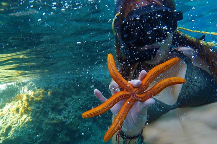 Speedboat to Kleftiko: Half-Day Milos Cruise & Guided Snorkeling photo 3