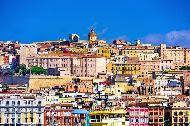 Cagliari City Tour & Molentargius Flamingos: Minivan and Walking Highlights