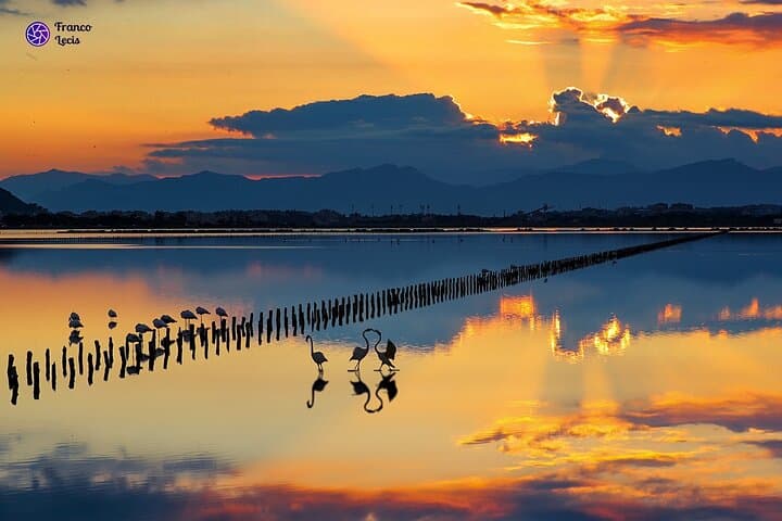 Cagliari City Tour & Molentargius Flamingos: Minivan and Walking Highlights photo 6