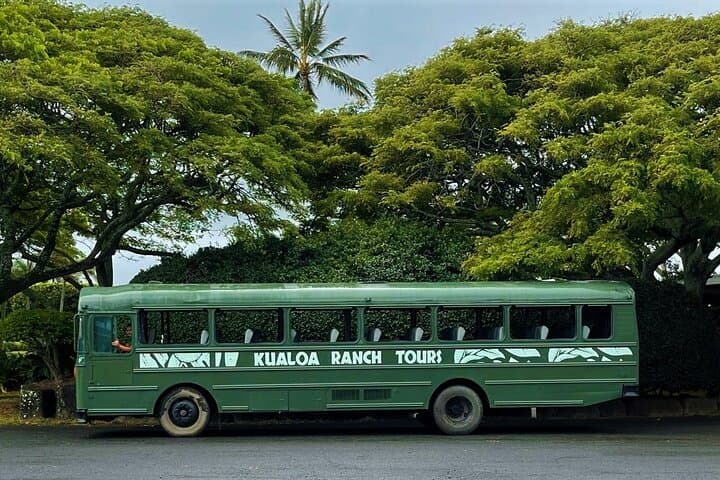 Kualoa Ranch Movie Tour: Explore Jurassic Park Filming Locations on Oʻahu