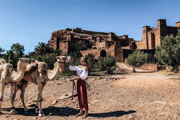 Atlas Mountains Full-Day: Waterfalls, Berber Villages & Camel Ride from Marrakech
