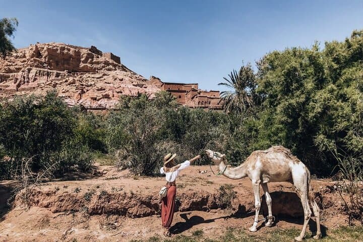 Atlas Mountains Camel Ride Day Trip from Marrakech — Imlil, Three Valleys & Waterfalls photo 2