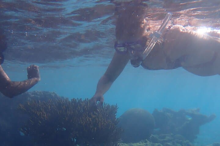 Snorkel Marathon: 3-Stop Boat Snorkeling from Kralendijk with Drinks & Local Bites photo 2