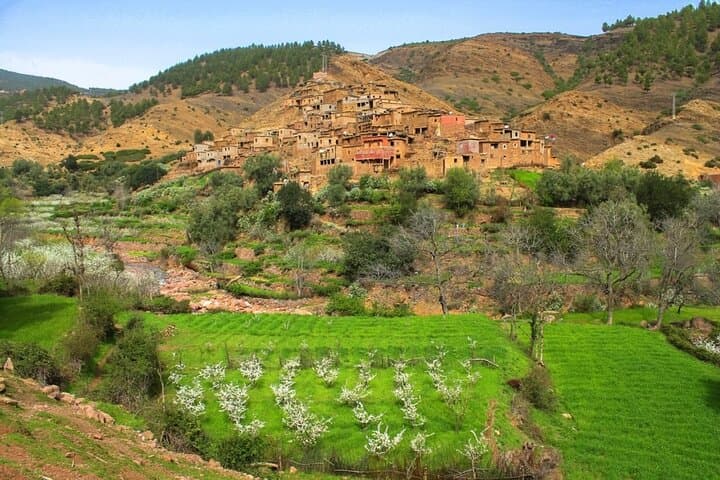 Atlas Mountains Camel Ride Day Trip from Marrakech — Imlil, Three Valleys & Waterfalls photo 3