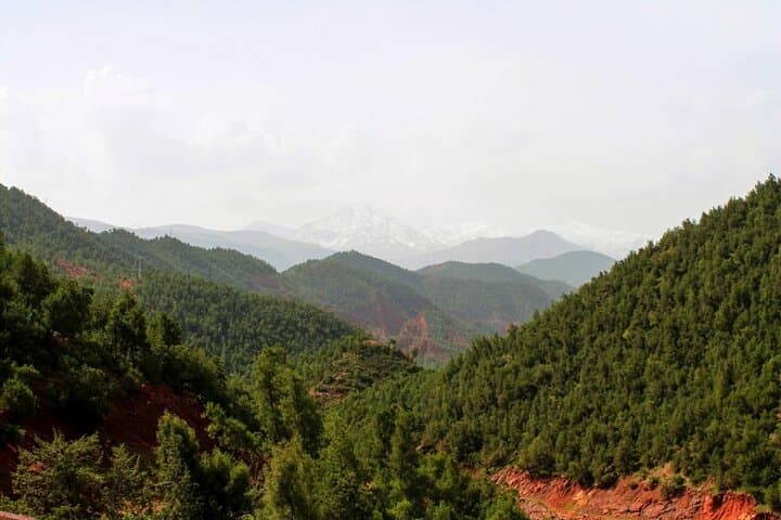 Atlas Mountains Camel Ride Day Trip from Marrakech — Imlil, Three Valleys & Waterfalls photo 5