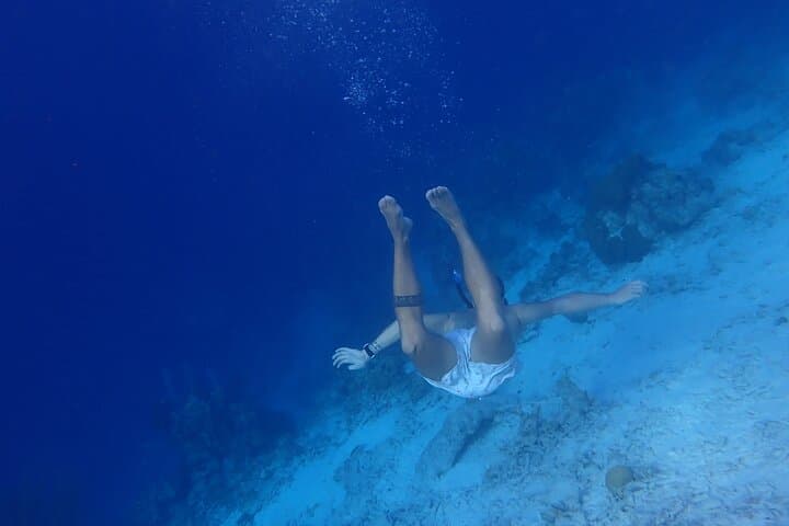 Snorkel Marathon: 3-Stop Boat Snorkeling from Kralendijk with Drinks & Local Bites photo 5