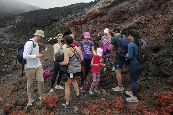 Pacaya Volcano Hike from Antigua — Half-Day Guided Trek to Guatemala’s Active Volcano photo 4