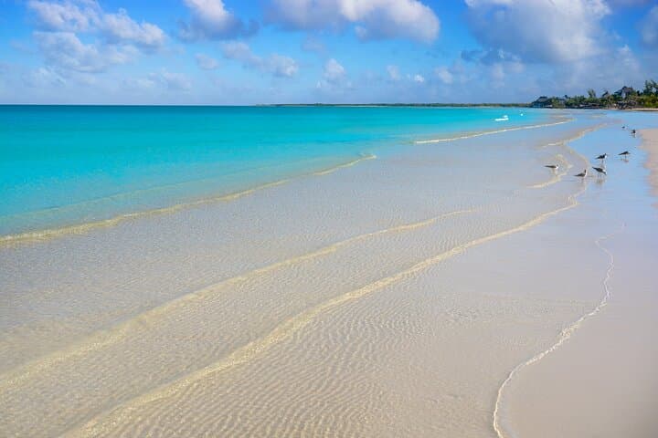 Holbox Day Trip: Ferry, Bikes, Punta Mosquito & Yalahau Cenote photo 6