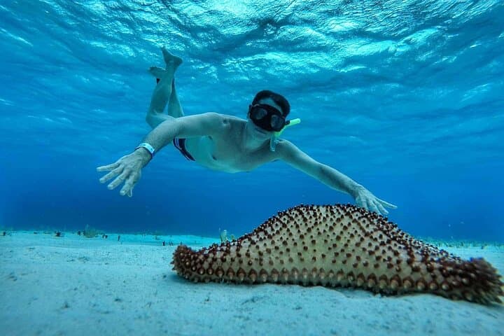 El Cielo Snorkel: Cozumel Day Trip to Reefs, Starfish & Lunch photo 2