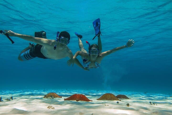 El Cielo Snorkel: Cozumel Day Trip to Reefs, Starfish & Lunch photo 5