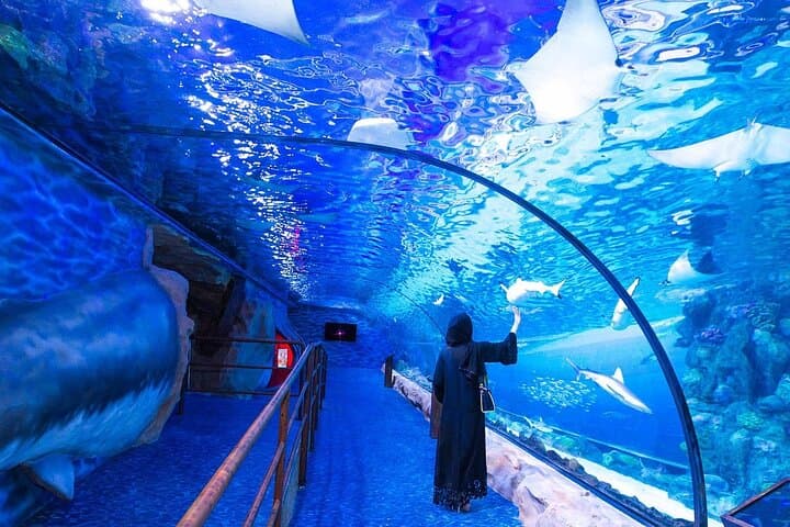 Inside Dubai Aquarium & Underwater Zoo: VIP Access to the 10‑Million‑Liter Tank
