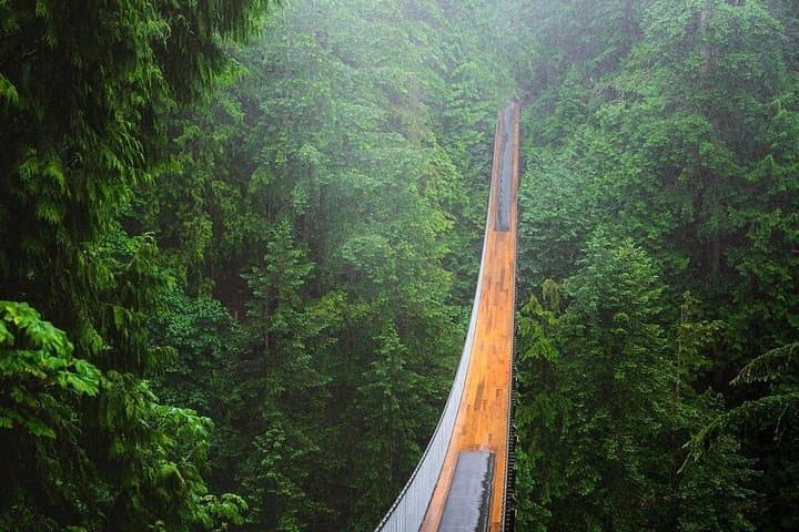 Vancouver Day Tour: Granville Island, Stanley Park & City Highlights photo 3