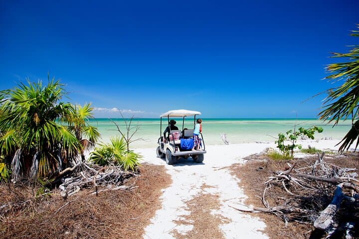 Holbox Day Trip: Ferry, Bikes, Punta Mosquito & Yalahau Cenote