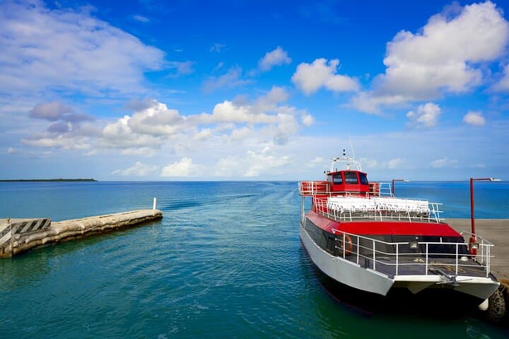 Holbox Day Trip: Ferry, Bikes, Punta Mosquito & Yalahau Cenote photo 5