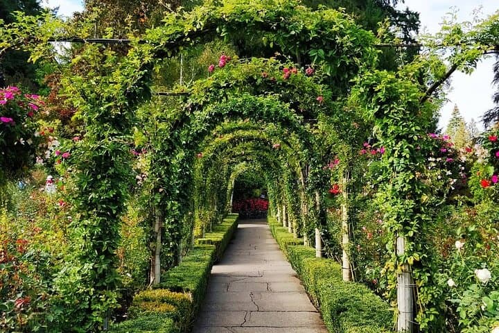 Victoria Day Trip from Vancouver — Butchart Gardens & Inner Harbour Highlights photo 4