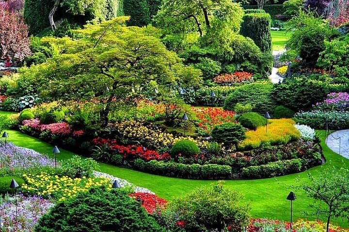 Victoria Day Trip from Vancouver — Butchart Gardens & Inner Harbour Highlights photo 5