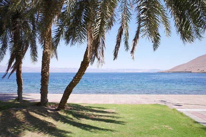 Haql Red Sea Adventure: Snorkel Gulf of Aqaba Reefs with Lunch