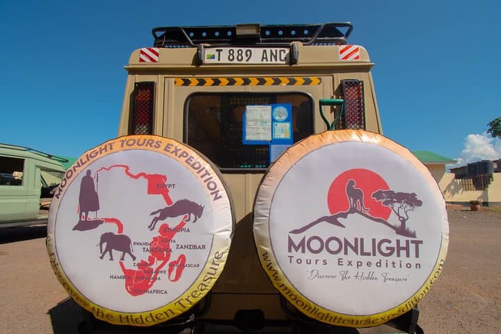 Exclusive Tarangire Safari Day Trip from Arusha photo 5