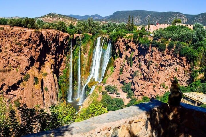 Marrakech to Ouzoud Falls Private Day Trip — Waterfalls of Ouzoud from Marrakech