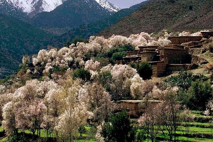 Ourika Valley Day Trip from Marrakech: Waterfalls, Berber Villages & High Atlas Views photo 3