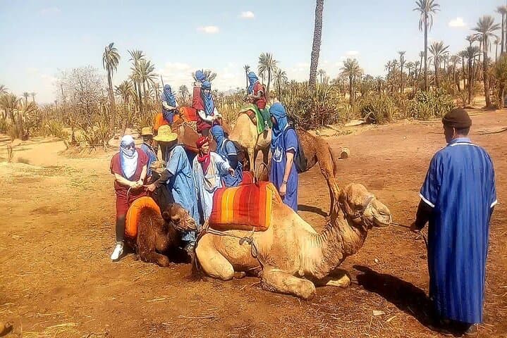 Sunset Camel Ride in Marrakech’s Palmeraie Oasis: Camel Trek, Berber Tea & Sunset Views photo 6
