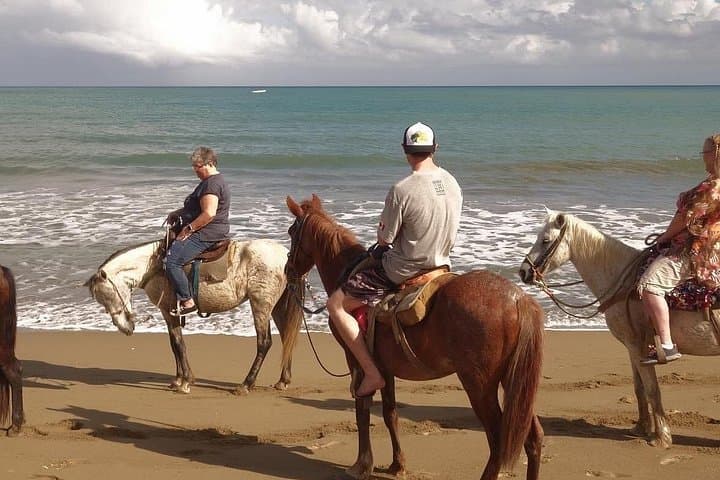 Puerto Plata Beach Horseback Ride to Amber Cove & Taino Bay photo 2
