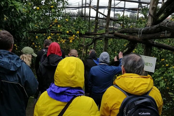 Private Day Tour Along the Amalfi Coast: Sorrento, Positano, Amalfi & Ravello photo 3