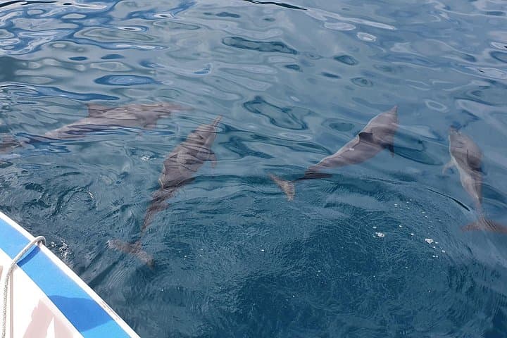 Moorea Lagoon Tour with Lunch — Snorkel Rays, Sharks & Tahitian Cuisine photo 5