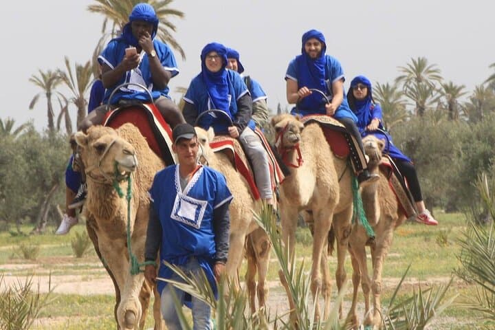 Sunset Camel Ride in Marrakech's Palm Grove — Hour-Long Camel Safari