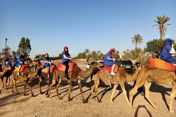 Sunset Camel Ride in Marrakech's Palm Grove — Hour-Long Camel Safari photo 2