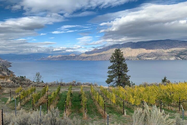 Summerland Half-Day Wine Tour on Bottleneck Drive — Tastings, Views & Local Winery Stories photo 2
