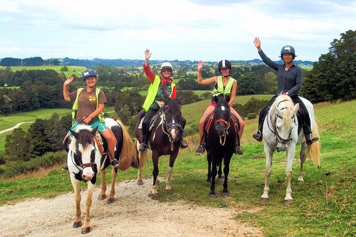 Matakana Art and Horse Riding Private Tour from Auckland photo 2