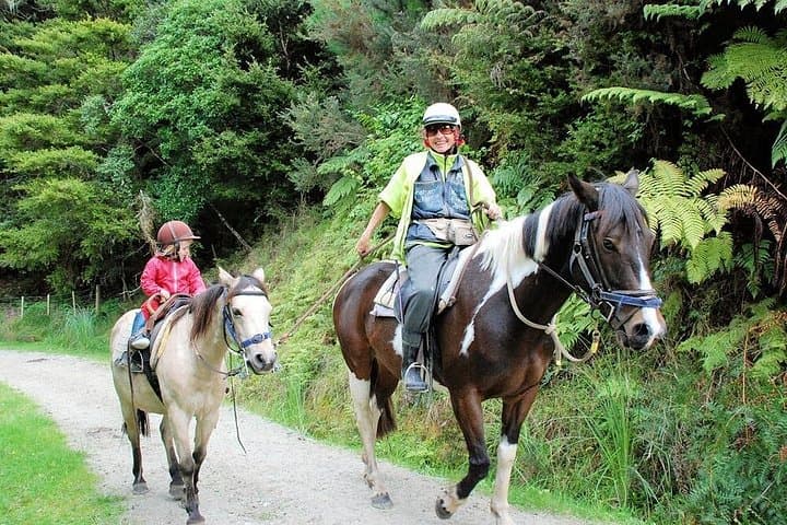 Matakana Art and Horse Riding Private Tour from Auckland photo 4