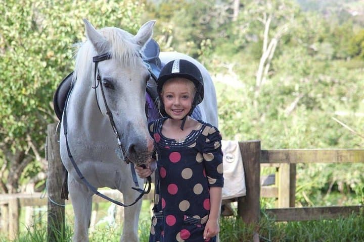Matakana Art and Horse Riding Private Tour from Auckland photo 3