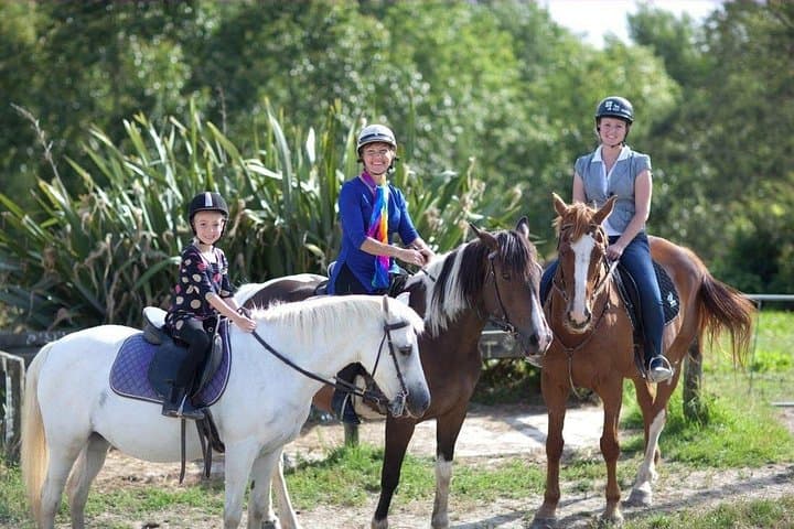 Matakana Art and Horse Riding Private Tour from Auckland