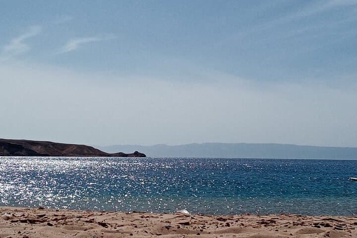 Haql Red Sea Adventure: Snorkel Gulf of Aqaba Reefs with Lunch photo 4