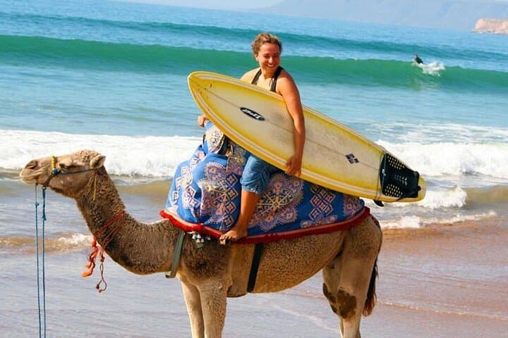 Essaouira Beach Private Full-Day Luxury Trip from Marrakech
