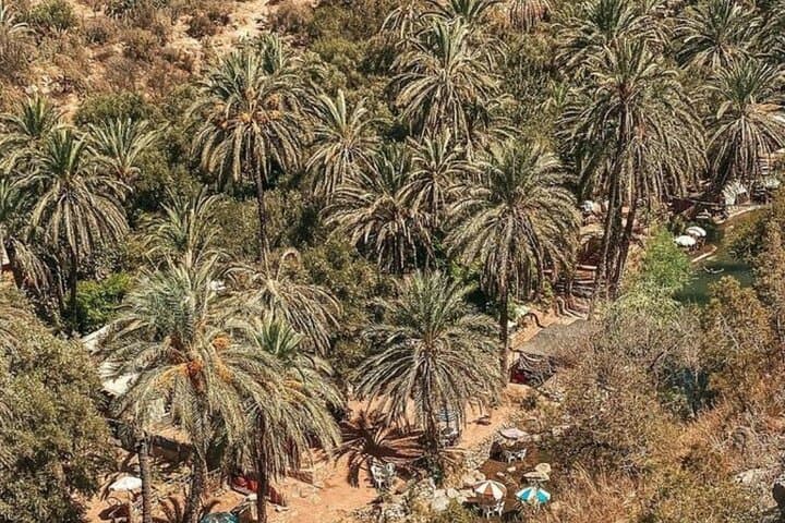 Paradise Valley & High Atlas Day Trip from Agadir: Waterfalls, Pools & Mountain Gorges photo 4
