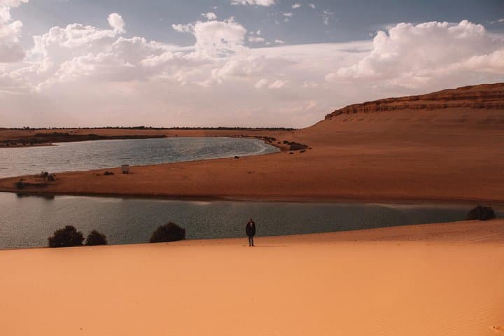 Fayoum Full-Day Birding in Wadi El Rayan and Lake Qarun photo 6