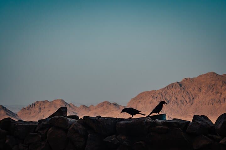 Sunrise on Mount Sinai: Overnight St. Catherine Monastery Trip from Cairo photo 3