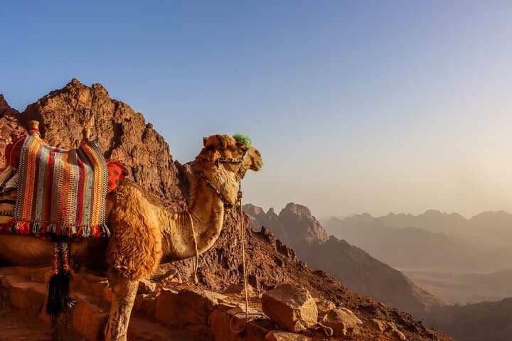 Mount Sinai & St. Catherine Monastery Night Hike — Sunrise from Moses Mountain photo 6