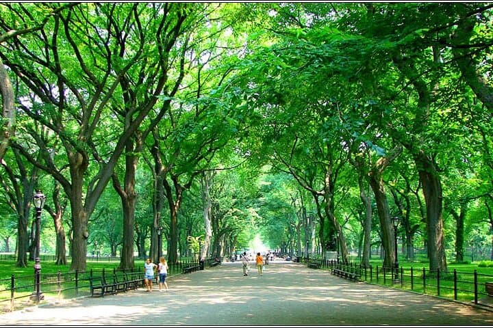 Central Park Walking Tour — 2-Hour Historical Stroll Through Manhattan photo 4