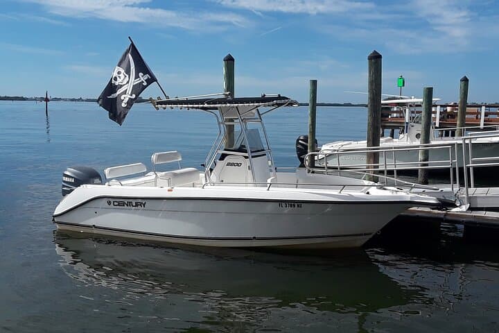 Private Clearwater Beach & Caladesi Island Boat Tour: Dolphin Cruises, Sandbars & Sunset
