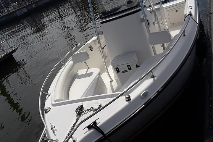 Private Clearwater Beach & Caladesi Island Boat Tour: Dolphin Cruises, Sandbars & Sunset photo 2